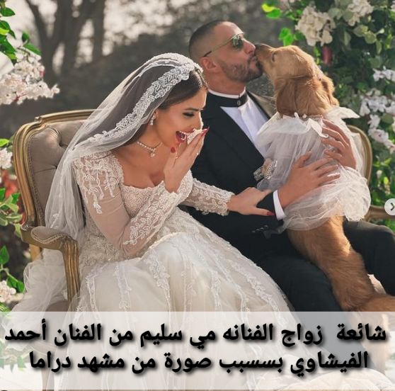 مي سليم وأحمد الفيشاوي